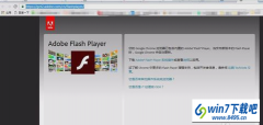 win7ϵͳadobe flash playerڶ⵽ֹĽ