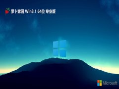 ܲ԰win8.164λӢ߶˰v2025.01