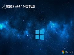 ȼwin8.164λٷӢv2025.01