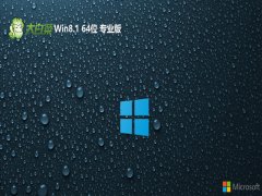 ײ64λwin8.1ǿİv2025.01